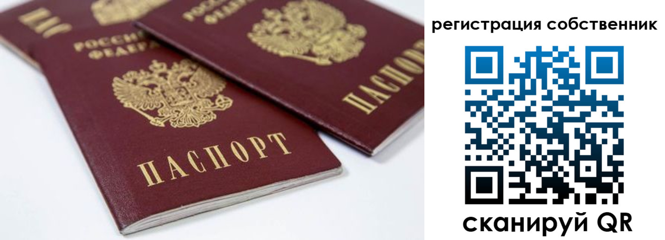 прописка для школы в Касимове